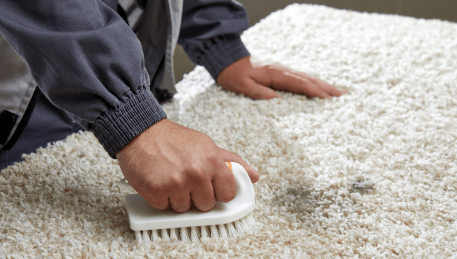 Professional Rug Cleaning Hughesdale